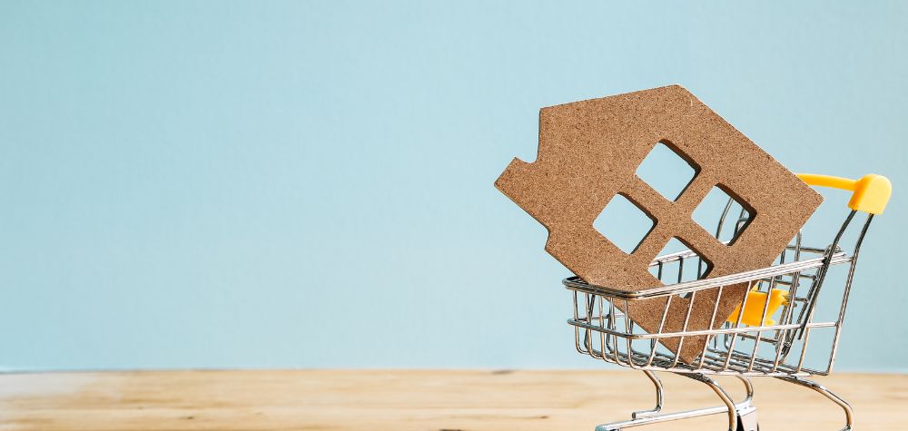 Is Your Next Major Purchase An Existing Business