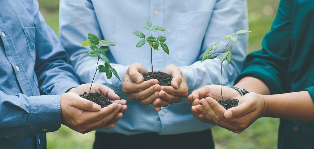 Ethical Superannuation Concerns For Members Of Funds