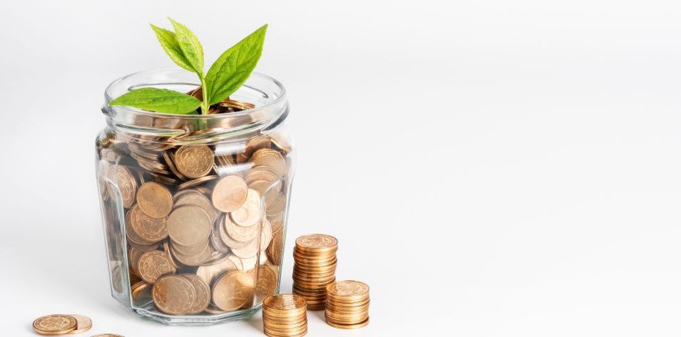 What Fund Type Works For You