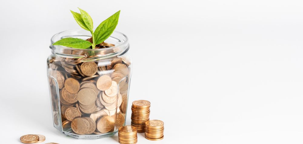 What Fund Type Works For You